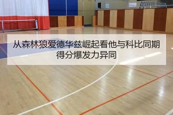 从森林狼爱德华兹崛起看他与科比同期得分爆发力异同
